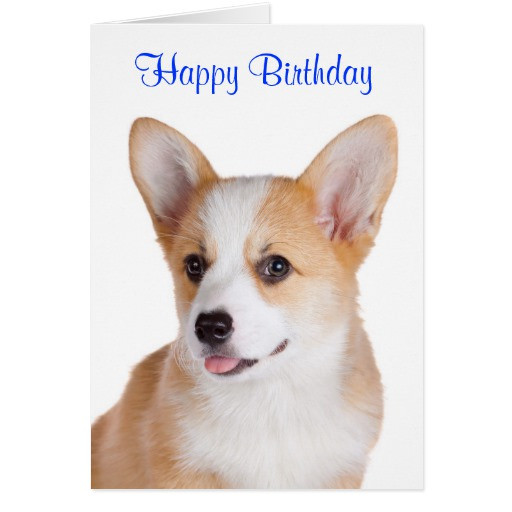 Best ideas about Corgi Birthday Card
. Save or Pin Happy Birthday Pembroke Welsh Corgi Greeting Card Now.