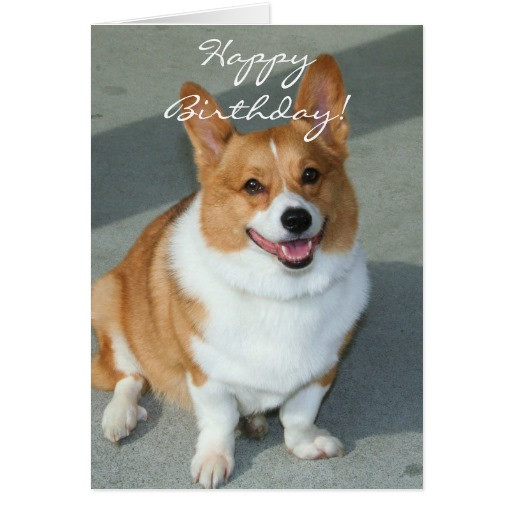 Best ideas about Corgi Birthday Card
. Save or Pin Happy Birthday Welsh Corgi Greeting Card Now.