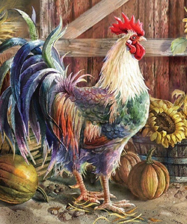 Best ideas about Country Rooster Kitchen Decor
. Save or Pin Les 1631 meilleures images du tableau Peinture sur Now.