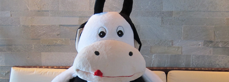 Best ideas about Cow Gift Ideas
. Save or Pin 13 Fun Holiday Gifts for Cow Lovers and Dairy Enthusiasts Now.