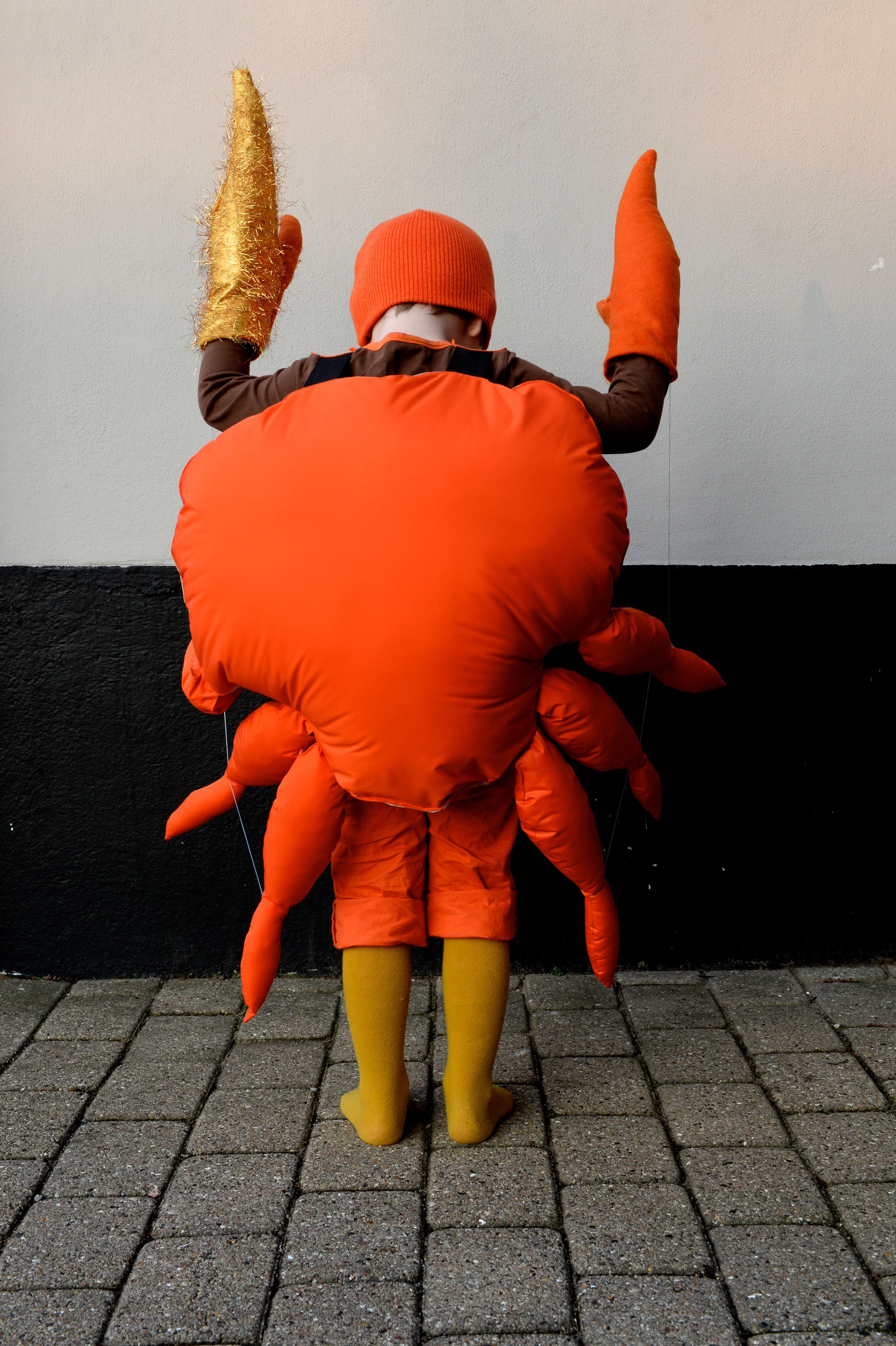 Best ideas about Crab Costume DIY
. Save or Pin Crab Costume déguisement crabe Now.