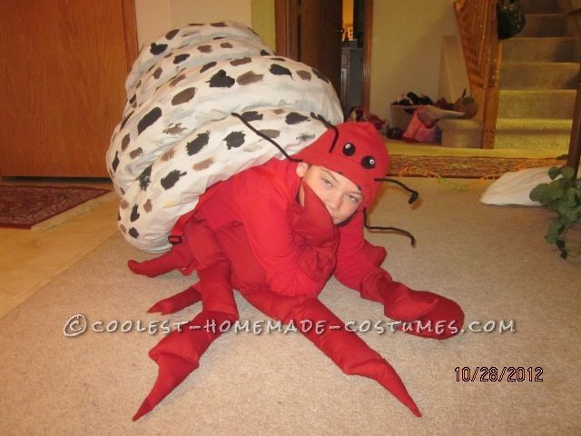 Best ideas about Crab Costume DIY
. Save or Pin 1000 ideas about Crab Costume on Pinterest Now.