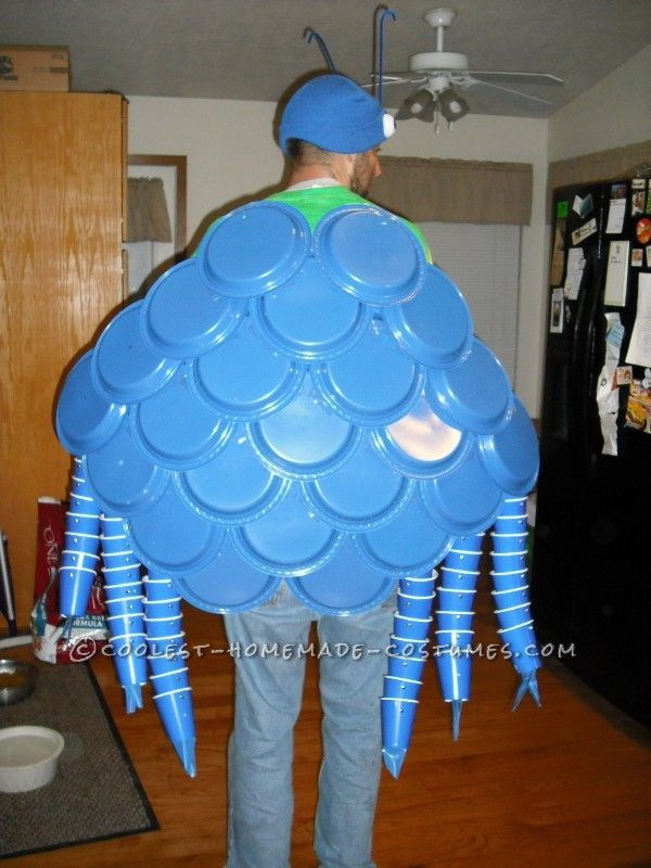 Best ideas about Crab Costume DIY
. Save or Pin Best 25 Crab costume ideas on Pinterest Now.