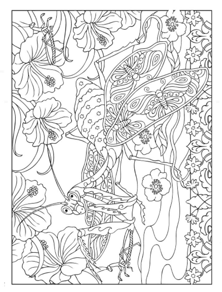 Best ideas about Creative Coloring Pages For Adults
. Save or Pin Creative Haven Incredible Insect Designs Coloring Book Now.