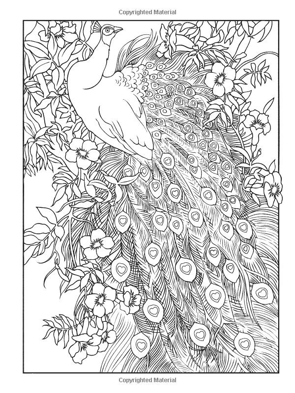 Best ideas about Creative Coloring Pages For Adults
. Save or Pin Creative Haven Peacock Designs Coloring Book Creative Now.