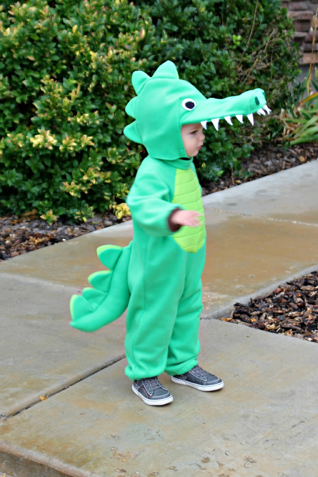 Best ideas about Crocodile Costume DIY
. Save or Pin RisC Handmade Toddler Alligator Costume Now.