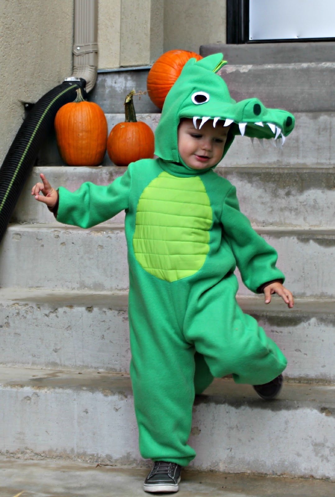 Best ideas about Crocodile Costume DIY
. Save or Pin RisC Handmade Toddler Alligator Costume Now.