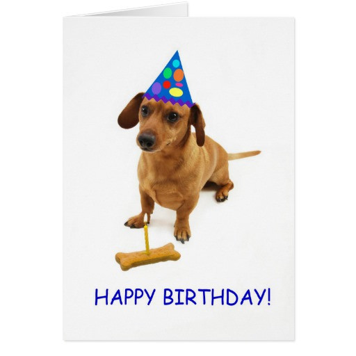 Best ideas about Dachshund Birthday Card
. Save or Pin Dachshund Birthday Card by Focus for a Cause Now.