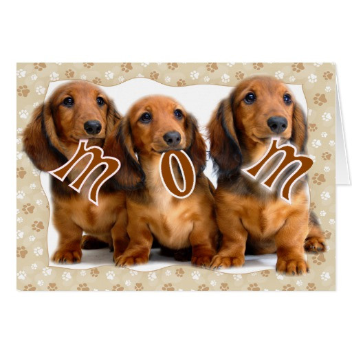Best ideas about Dachshund Birthday Card
. Save or Pin DACHSHUND MOM GREETING CARD Now.