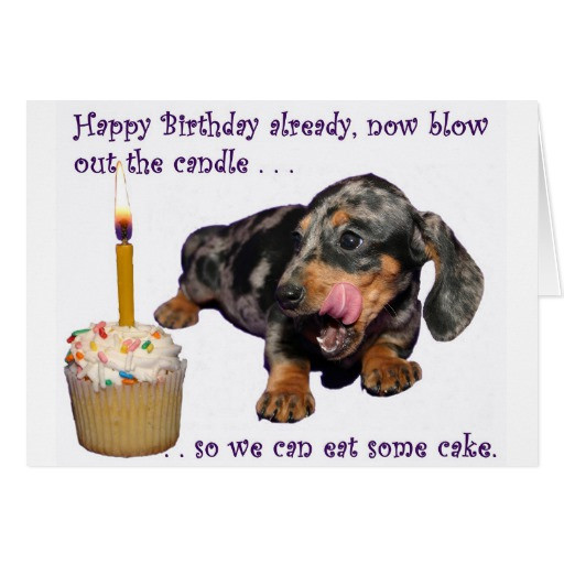 Best ideas about Dachshund Birthday Card
. Save or Pin Dachshund Birthday Card Now.