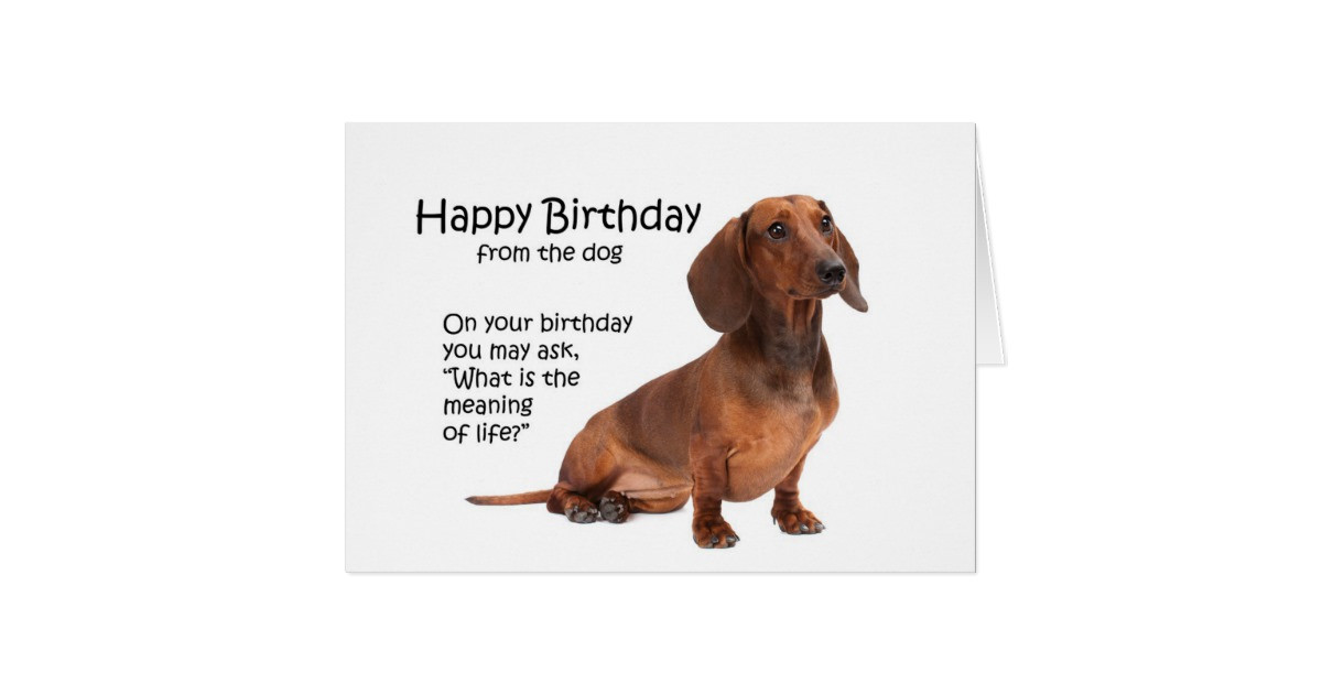 Best ideas about Dachshund Birthday Card
. Save or Pin Funny Dachshund Birthday Card Now.