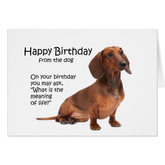 Best ideas about Dachshund Birthday Card
. Save or Pin Funny Dachshund Birthday Card Now.