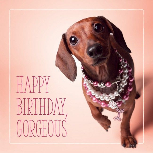 Best ideas about Dachshund Birthday Card
. Save or Pin 17 Best images about Birthday on Pinterest Now.