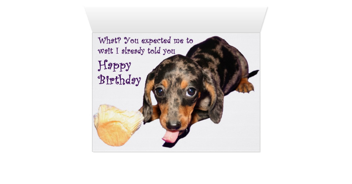 Best ideas about Dachshund Birthday Card
. Save or Pin Dachshund Birthday Card Now.