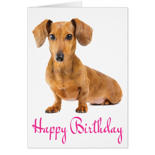 Best ideas about Dachshund Birthday Card
. Save or Pin Happy Birthday Dachshund Puppy Dog Card Now.