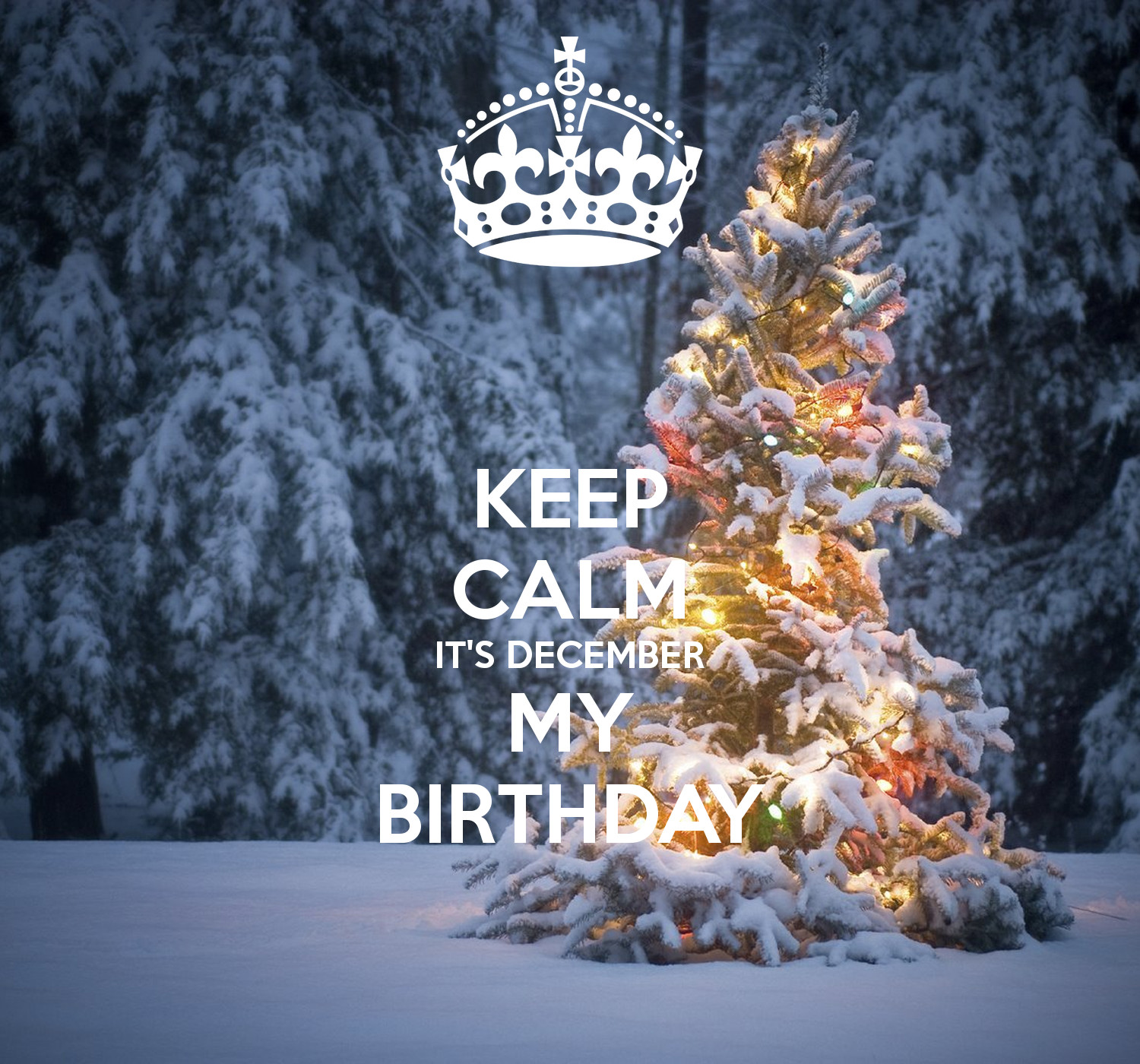 Best ideas about December Birthday Quotes
. Save or Pin December Birthday Quotes QuotesGram Now.