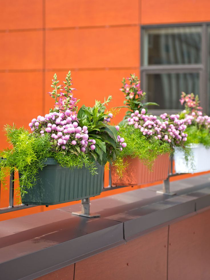 Best ideas about Deck Rail Planter
. Save or Pin 25 beautiful Deck railing planters ideas on Pinterest Now.