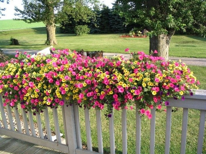 Best ideas about Deck Rail Planter
. Save or Pin How To Make Planter Boxes For Deck Railing WoodWorking Now.