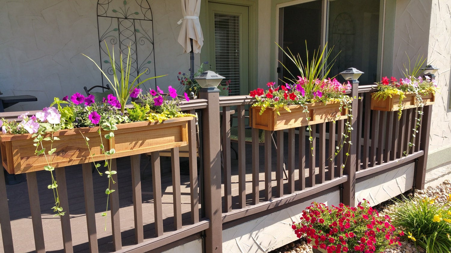 Best ideas about Deck Rail Planter
. Save or Pin 5 Pot Planter Redwood Universal Deck Rail Planter Box Now.