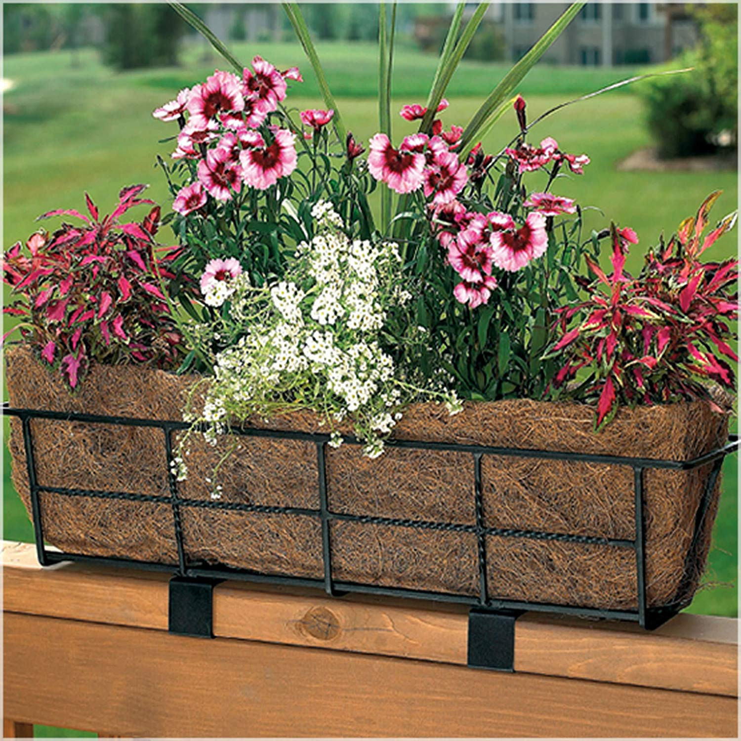 Best ideas about Deck Rail Planter
. Save or Pin CobraCo DPBCB24 B 24 Inch Canterbury Adjustable Deck Now.