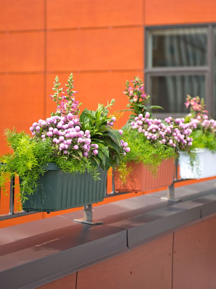 Best ideas about Deck Rail Planters
. Save or Pin 25 beautiful Deck railing planters ideas on Pinterest Now.