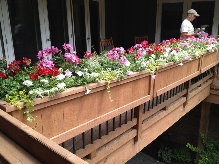 Best ideas about Deck Rail Planters
. Save or Pin 25 best images about windowboxes on Pinterest Now.