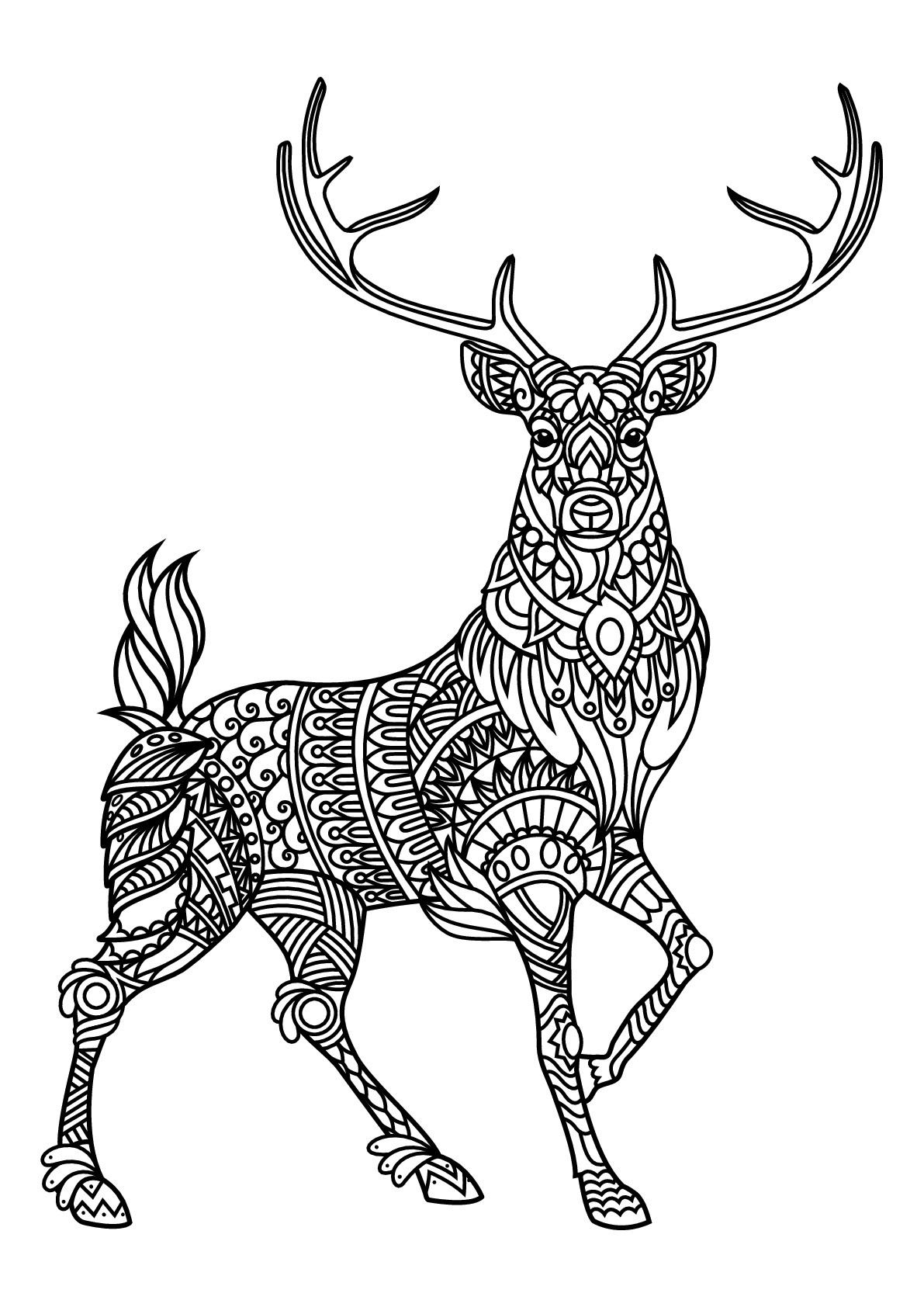Best ideas about Deer Coloring Pages For Adults
. Save or Pin Free book deer Deers Adult Coloring Pages Now.