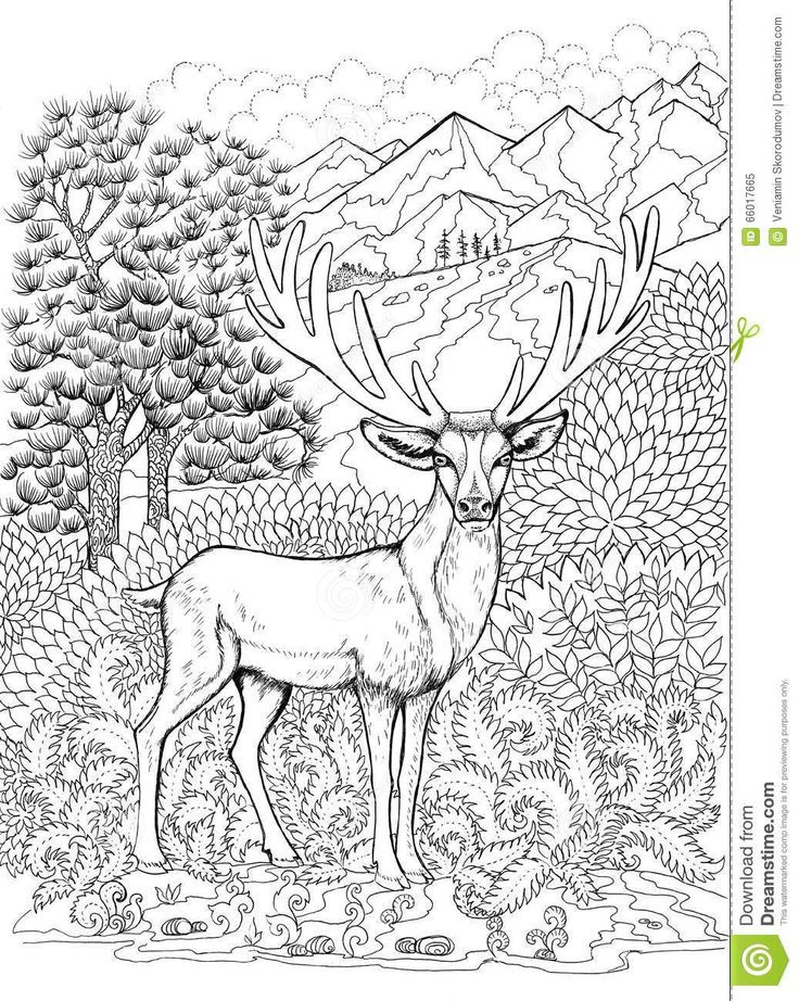 Best ideas about Deer Coloring Pages For Adults
. Save or Pin 294 best coloring deer images on Pinterest Now.
