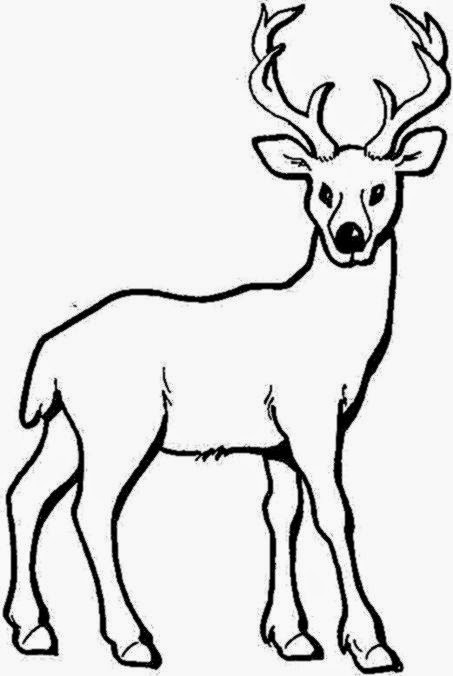 Best ideas about Deer Coloring Pages For Adults
. Save or Pin Baby Deer Coloring Pages Printable – Colorings Now.
