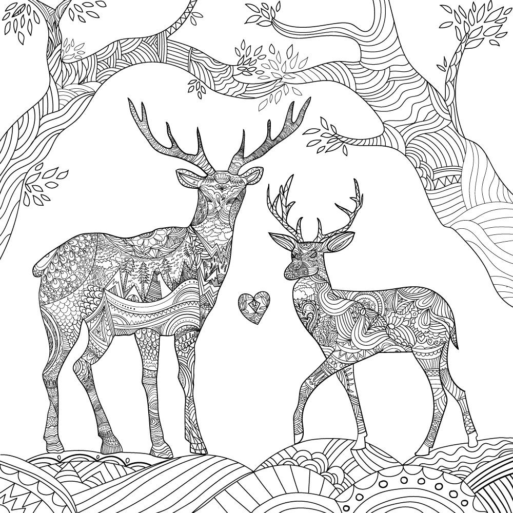 Best ideas about Deer Coloring Pages For Adults
. Save or Pin Pin by Lorrie Antwine on Coloring Now.