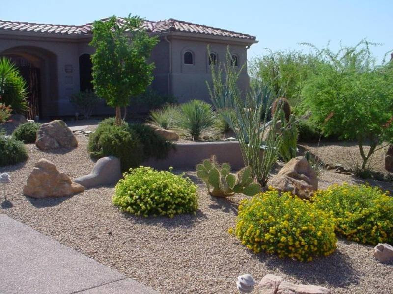 Best ideas about Desert Landscape Design
. Save or Pin Awesome Desert Landscaping Ideas with Lovely Desert Plants Now.