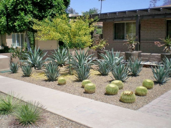 Best ideas about Desert Landscape Design
. Save or Pin Desert landscaping ideas – basic rules to design a great Now.