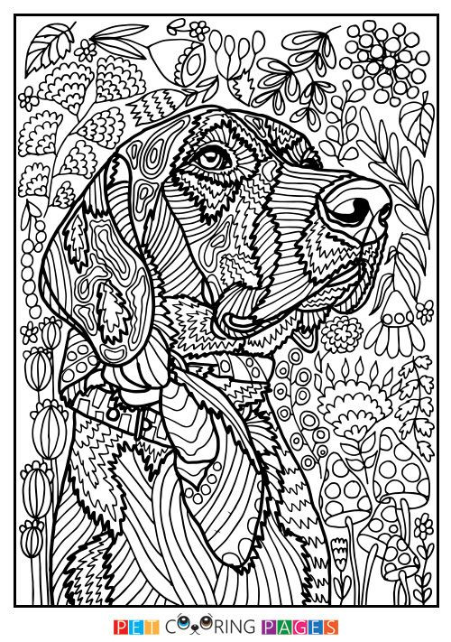 Best ideas about Detailed Coloring Pages For Girls
. Save or Pin Free printable Mutt coloring page "Rodžers" available for Now.