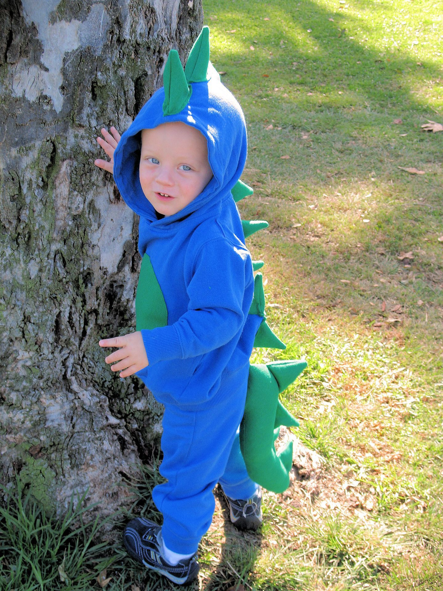 Best ideas about Dinosaur Costume DIY
. Save or Pin Homemade Dinosaur Costume Get hooded sweatshirts and Now.