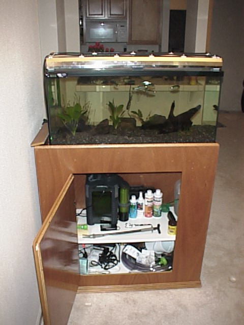 Best ideas about DIY 10 Gallon Fish Tank Stand
. Save or Pin 28 DIY Aquarium Stands with Plans Now.