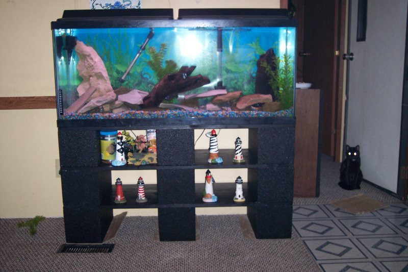 Best ideas about DIY 10 Gallon Fish Tank Stand
. Save or Pin Download Diy 10 Gallon Fish Tank Stand Plans Plans DIY Now.