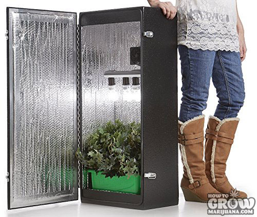 Best ideas about DIY 4Oz Minimum Yield Grow Box
. Save or Pin Grow Box Hydroponic Boxes Reviewed Now.