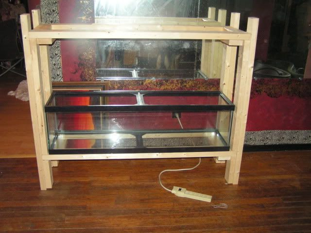 Best ideas about DIY 55 Gallon Aquarium Stand
. Save or Pin My double 55 gal DIY stand Now.