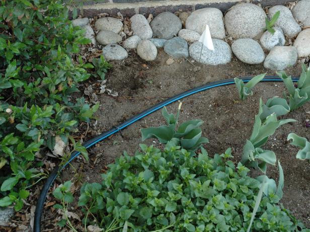 Best ideas about DIY Above Ground Sprinkler System
. Save or Pin 12 DIY Drip Irrigation To Water Your Plants Frugally Now.