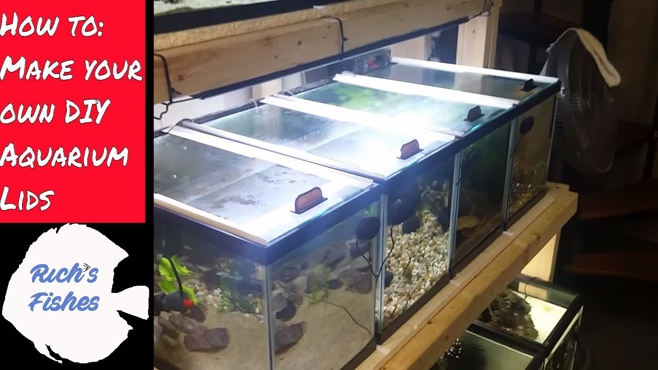 Best ideas about DIY Acrylic Aquarium
. Save or Pin how to 🐠DIY sliding aquarium glass fish tank lids tops Now.