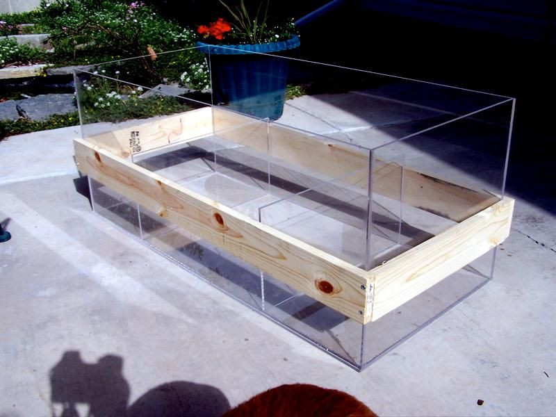 Best ideas about DIY Acrylic Aquarium
. Save or Pin Suzy gives a general overview of acrylic fabrication Now.