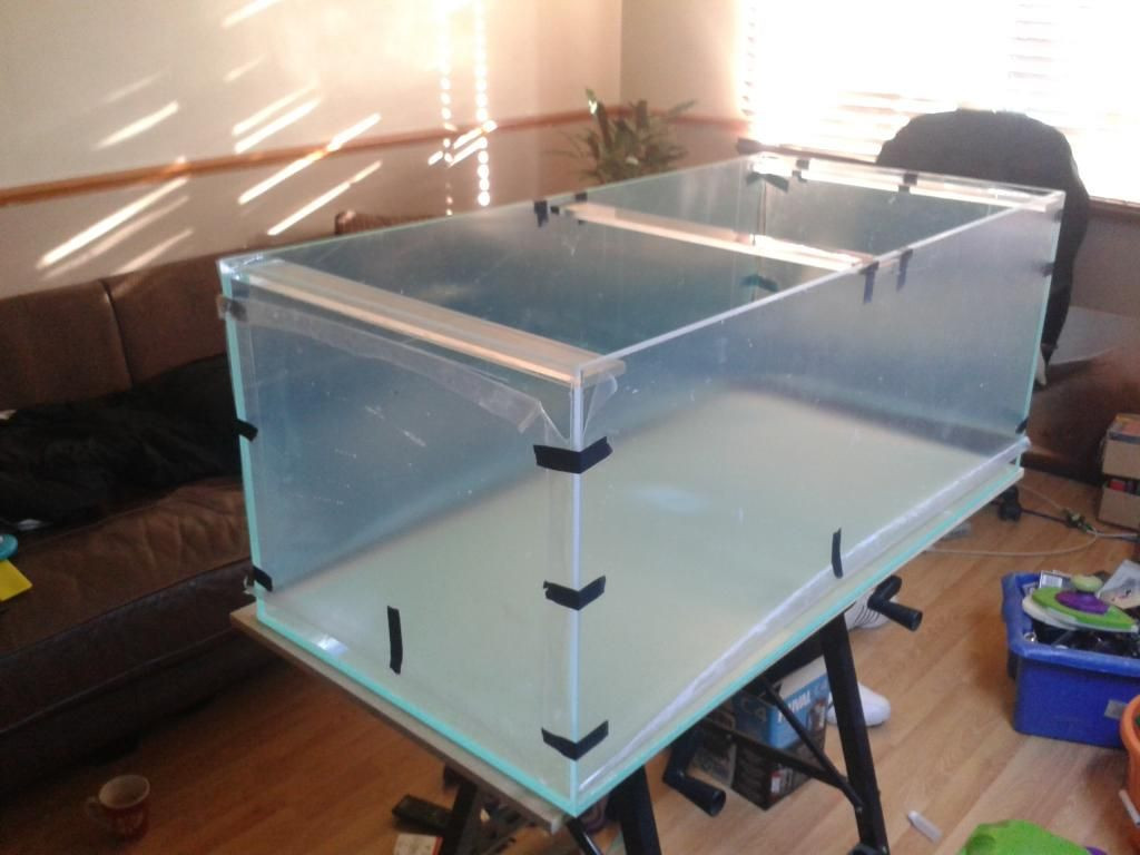 Best ideas about DIY Acrylic Aquarium
. Save or Pin DIY Acrylic Tank Build New update Now.