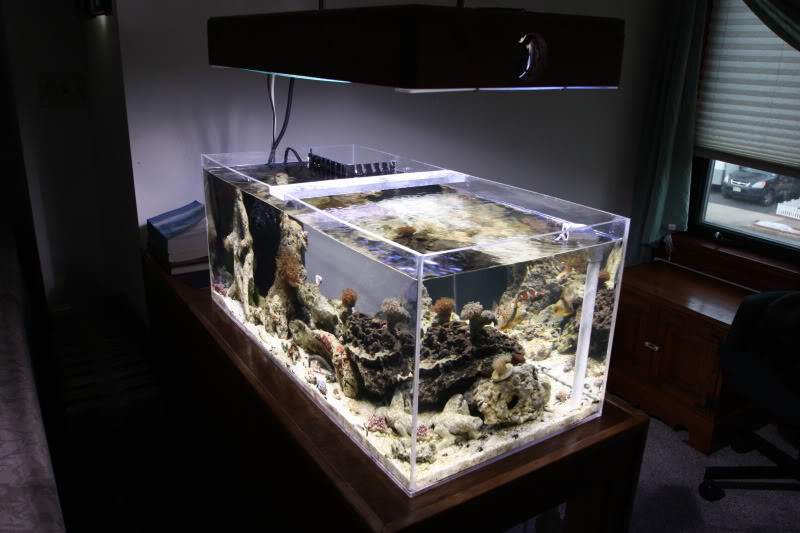 Best ideas about DIY Acrylic Aquarium
. Save or Pin Diy Acrylic Aquarium Build DIY Projects Now.