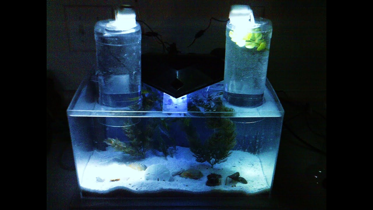 Best ideas about DIY Acrylic Aquarium
. Save or Pin Nano Acrylic Saltwater Tank DIY with How it was Made Now.