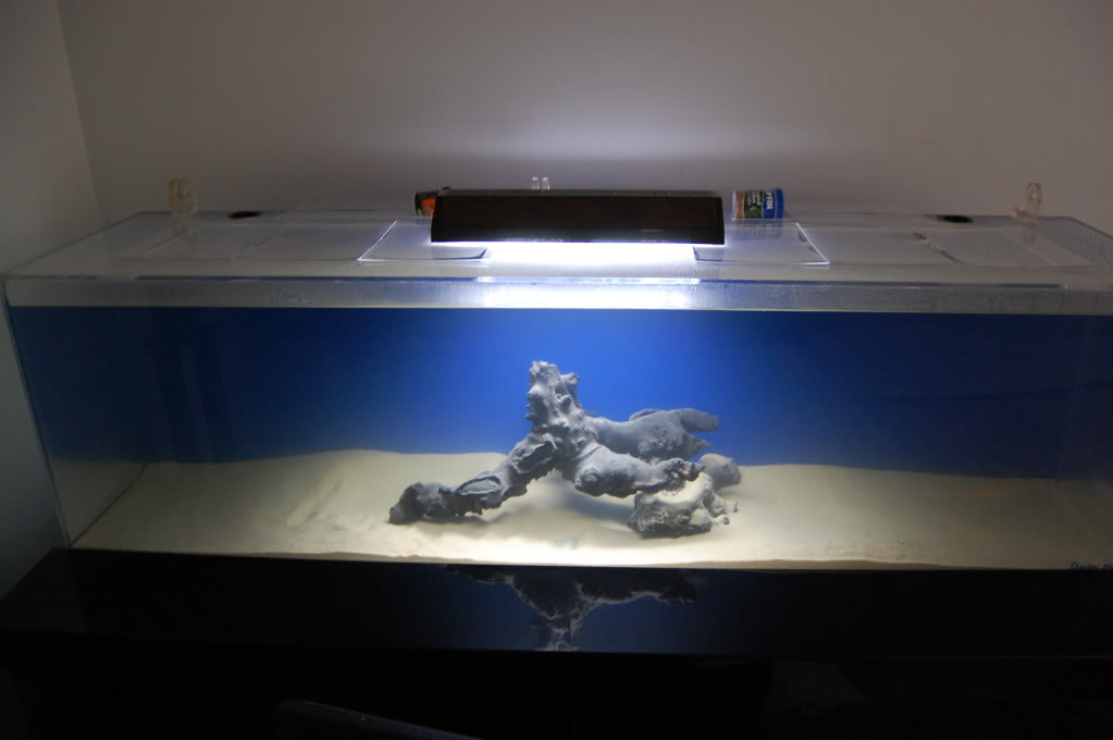 Best ideas about DIY Acrylic Aquarium
. Save or Pin DIY – Acrylic Tank scratch repair and restoration – Tank Now.