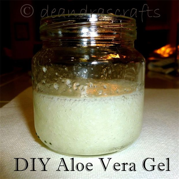 Best ideas about DIY Aloe Vera Gel
. Save or Pin DIY Aloe Vera Gel Now.