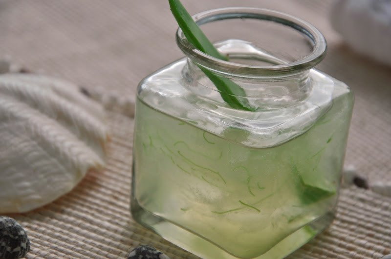 Best ideas about DIY Aloe Vera Gel
. Save or Pin Fashion Gourmet Homemade Aloe Vera gel Now.