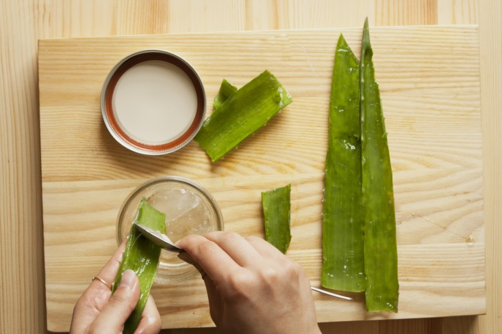 Best ideas about DIY Aloe Vera Gel
. Save or Pin DIY A Soothing Sunburn Cure with a Secret Ingre nt Now.