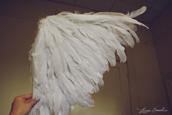 Best ideas about DIY Angel Wings
. Save or Pin Halloween DIY Easy Angel Wings Lauren Conrad Now.