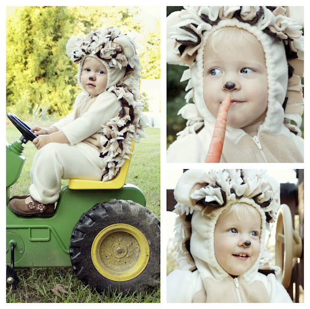 Best ideas about DIY Animal Halloween Costumes
. Save or Pin 37 Homemade Animal Costumes C R A F T Now.